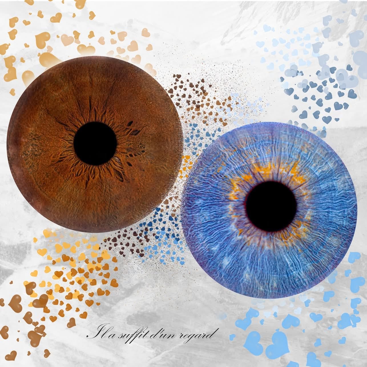 Iris duo - Il a suffi d'un regard